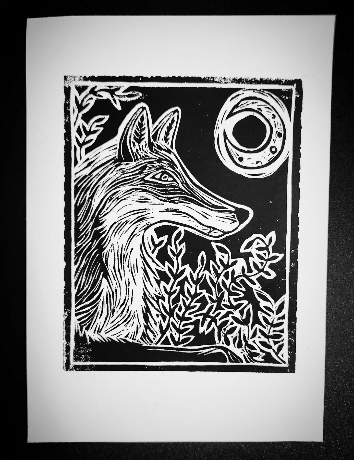 July Fox - Vlad Hat - #original_alt_text#